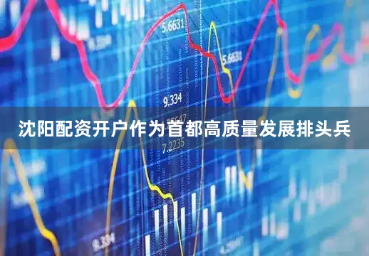 沈阳配资开户作为首都高质量发展排头兵