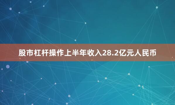股市杠杆操作上半年收入28.2亿元人民币